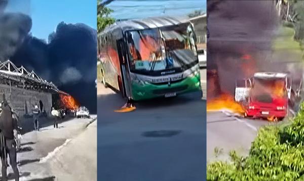 Polícia investiga maus-tratos contra cavalos em chá revelação; vídeo, Goiás