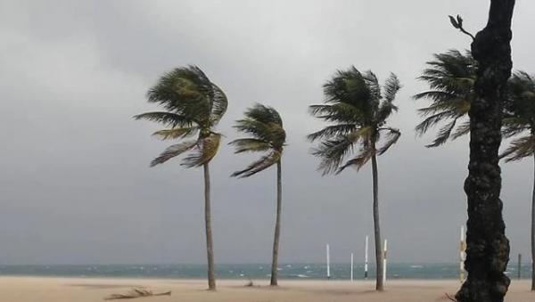 Inmet alerta para rajadas de vento em cinco cidades alagoanas 