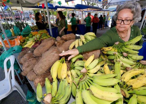 Feira agroecológica desta quarta (24) em Maceió terá sorteio de mudas e vale-compras
