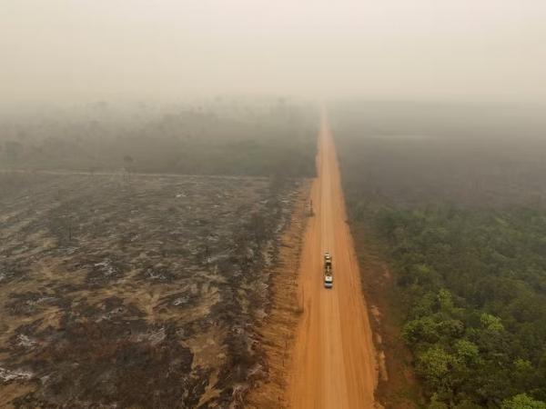 Queimadas na Amazônia resultaram em 31 milhões de toneladas de gás carbônico