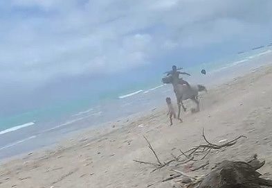 VÍDEO: Menina é atropelada por cavalo na praia de Pajuçara, em Maceió