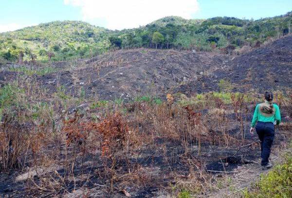 Período seco e baixa umidade em Alagoas aumentam riscos de queimadas