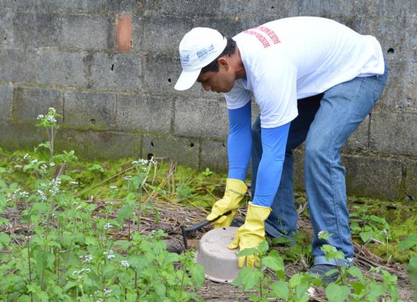 Casos prováveis de dengue cresceram quase 300% em 2 anos em Alagoas; veja como combater a doença