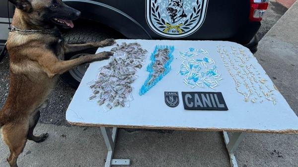 Maconha, cocaína e crack são apreendidas em Arapiraca com ajuda de cão farejador