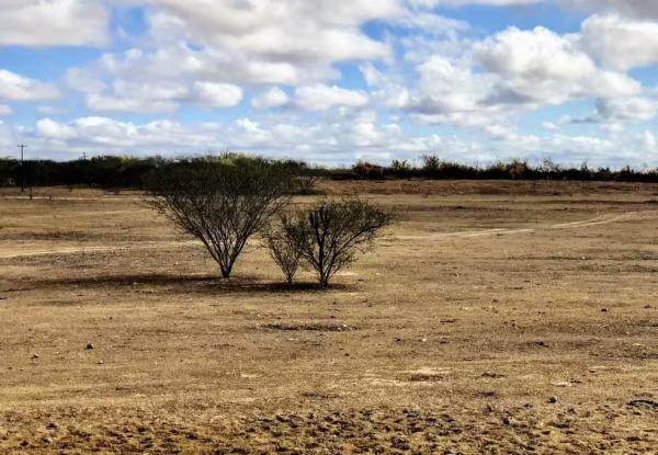 6 cidades de Alagoas tiveram mais de 150 dias de calor extremo em 2024, aponta levantamento