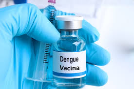 Governo anuncia vacina da dengue no SUS em 2025