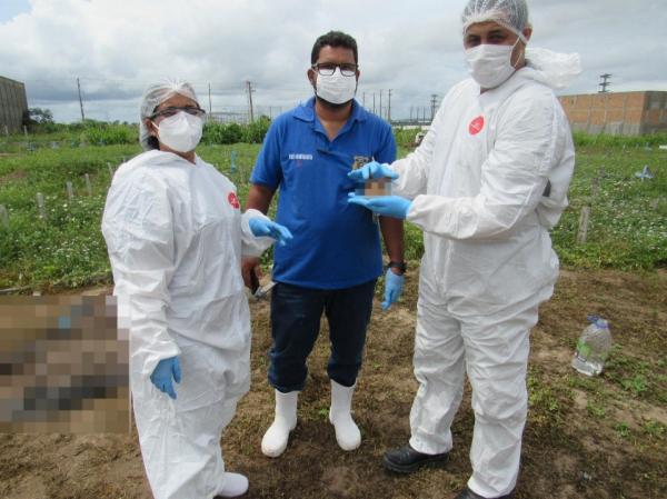 IML de Arapiraca identifica ossada carbonizada encontrada em canavial