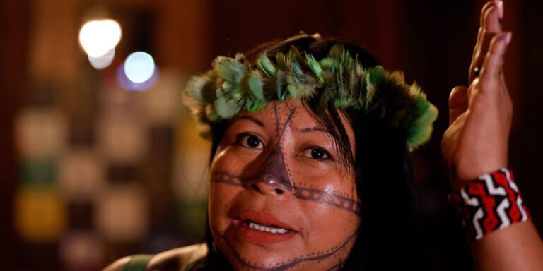 Mercado de carbono ameaça vida indígena, diz Alessandra Munduruku