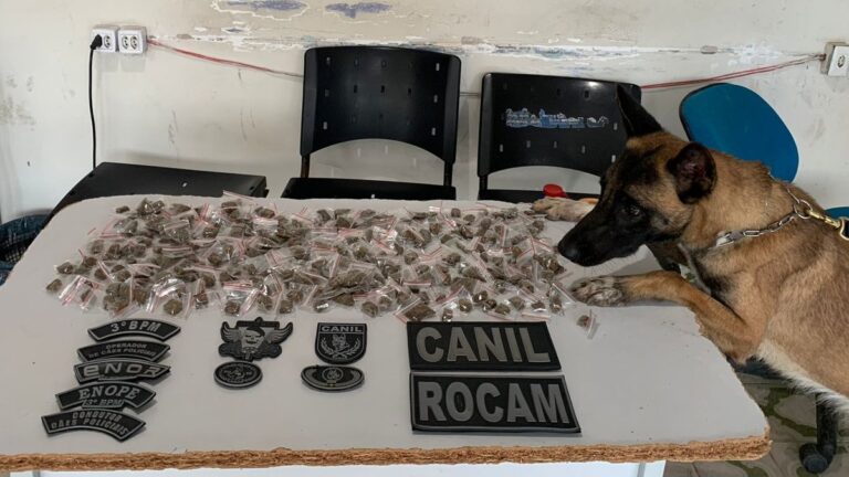 Denúncia leva polícia a prender três por tráfico em assentamento de Arapiraca