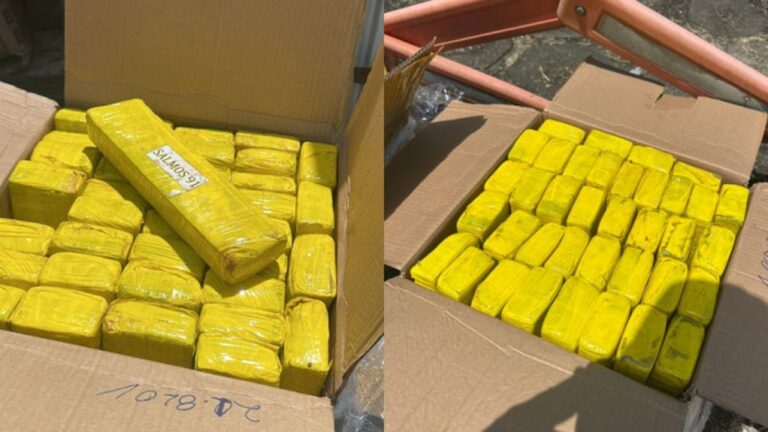 Polícia apreende quase 1 tonelada de maconha dentro de van em São Sebastião