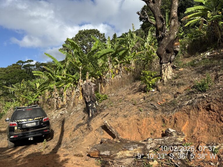 PF investiga suspeito por invasão, desmatamento e incêndios na Serra da Barriga